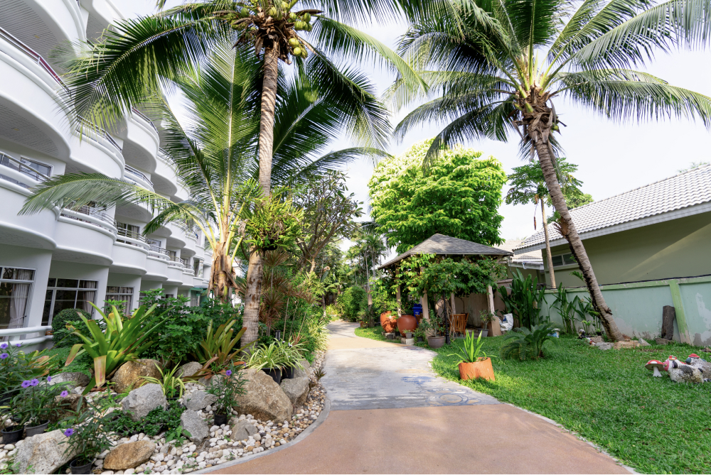 SPECIALE THAILANDIA KOH SAMUI - AGOSTO 2 Garden 03