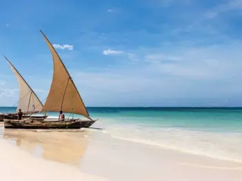 LAST-MINUTE VERACLUB ZANZIBAR VILLAGE ZANZIBAR - AGOSTO 2025 10 img 8 3