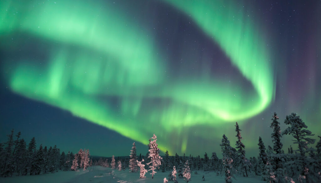 SPECIALE LAPPONIA NORVEGESE E AURORE BOREALI 2026 3 unnamed 2 2