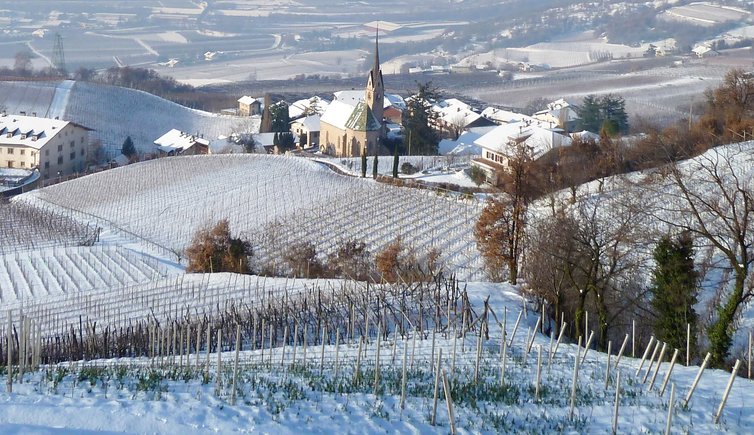 SPECIALE CAPODANNO A MONTAGNA SULLA STRADA DL VINO 1 B RS144763 0093 winter suedtiroler weinstrasse bei montan pinzon