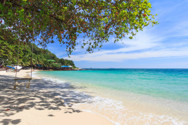 KOH SAMED 1